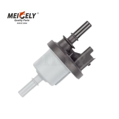 Bico de Bomba de Combustível Padrão OEM 0433171057 Substituição Direta para Mack