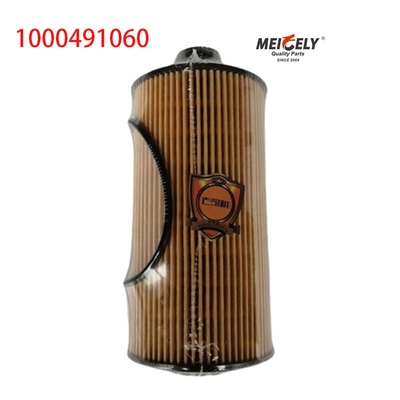 1000491060 FAW Jiefang J6PJH6 Filtro de óleo de camião
