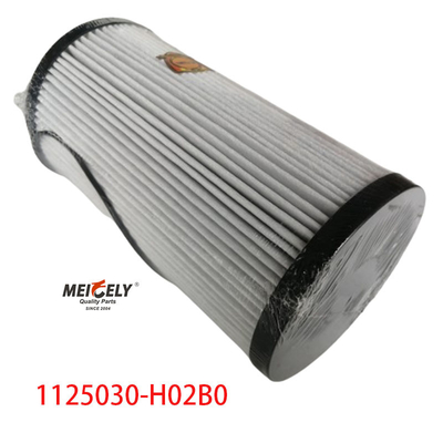 1125030-H02B0 Peças de camião Filtro de combustível para Dongfeng Tianlong