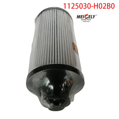 1125030-H02B0 Peças de camião Filtro de combustível para Dongfeng Tianlong