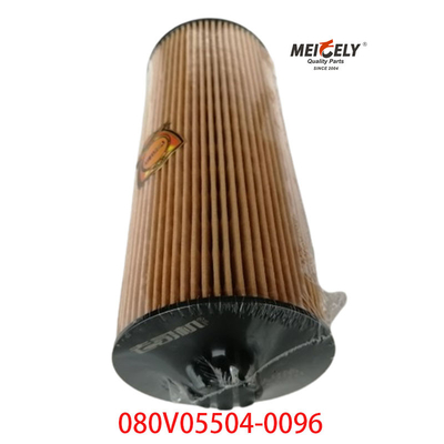 Fornecedor OEM 080V05504-0096 Para SINOTRUK Howo T5G Filtro de óleo de camião