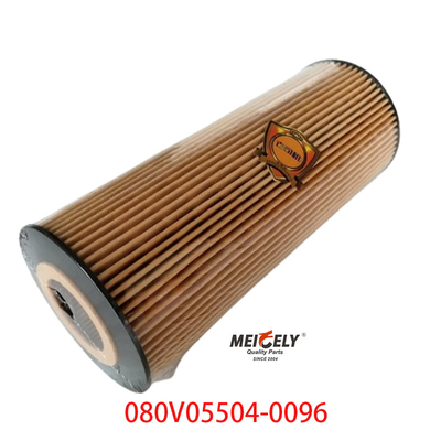 Fornecedor OEM 080V05504-0096 Para SINOTRUK Howo T5G Filtro de óleo de camião