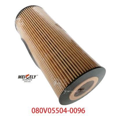 Fornecedor OEM 080V05504-0096 Para SINOTRUK Howo T5G Filtro de óleo de camião