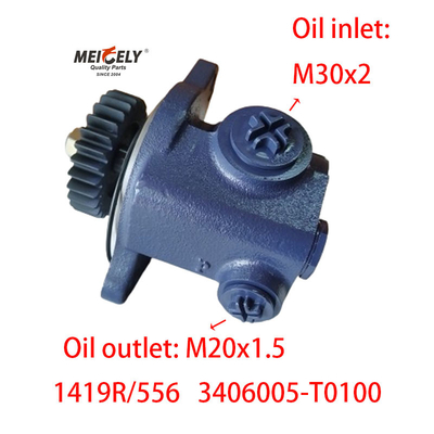 Blade Pump 1419R/556 DONGFENG RENAULT Servo-Steering Pump