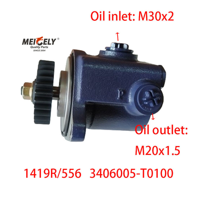Blade Pump 1419R/556 DONGFENG RENAULT Servo-Steering Pump
