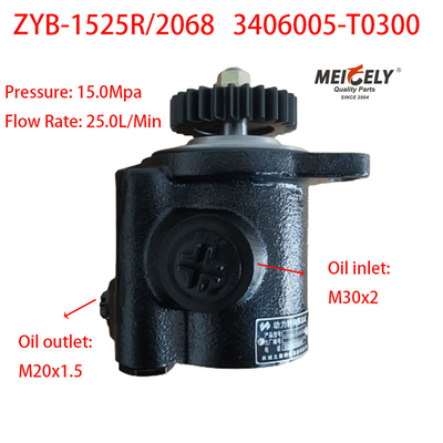 3406005-T0300 Renault Motor Parts Servo-Steering Pump