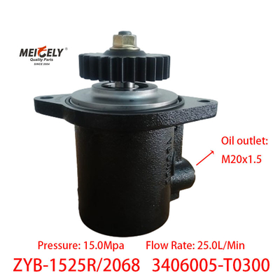 3406005-T0300 Renault Motor Parts Servo-Steering Pump