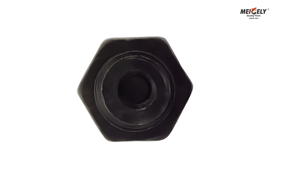 Fuso And Canter ME012586 Bolt Oil Jet Valve para todos os modelos