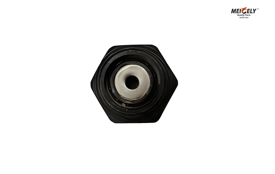 Fuso And Canter ME012586 Bolt Oil Jet Valve para todos os modelos