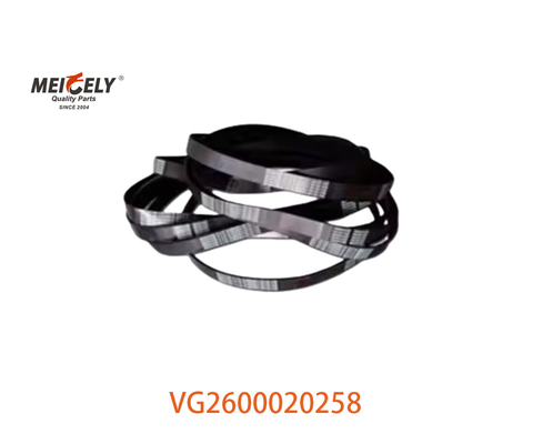 Venda a quente VG2600020258 Cinturão alternador Peças sobressalentes do motor para HOWO