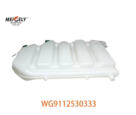 Novo WG9112530333 Conjunto de tanque de água de expansão para Howo AZ9112530333