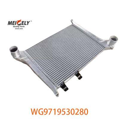 OEM WG9719530280 Para Howo Intercooler Assembléia WG9719530281