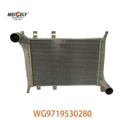 OEM WG9719530280 Para Howo Intercooler Assembléia WG9719530281