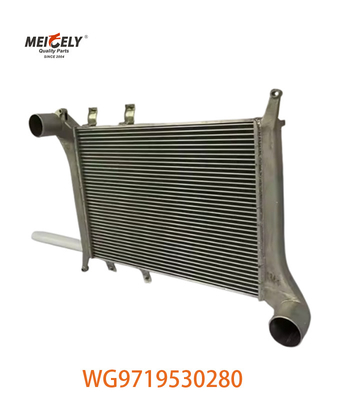 OEM WG9719530280 Para Howo Intercooler Assembléia WG9719530281
