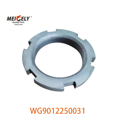 Display de imagem WG9012250031 Porco de camião pesado para camião Sinotruk Howo