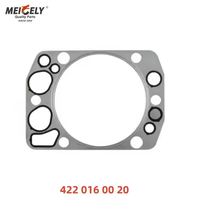 Garrafa de cabeça de cilindro de selos de alta precisão OEM 4220160020 4220160420 Durável Para caminhão MAN MERCEDES