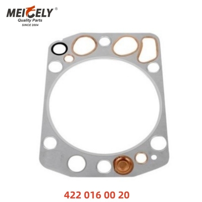 Garrafa de cabeça de cilindro de selos de alta precisão OEM 4220160020 4220160420 Durável Para caminhão MAN MERCEDES