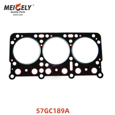 Garrafa de cabeça de cilindro 57GC189A para camião Mack