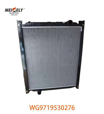 WG9719530276 Original Montagem do radiador WG9725530270 Adequado para caminhão HOWO