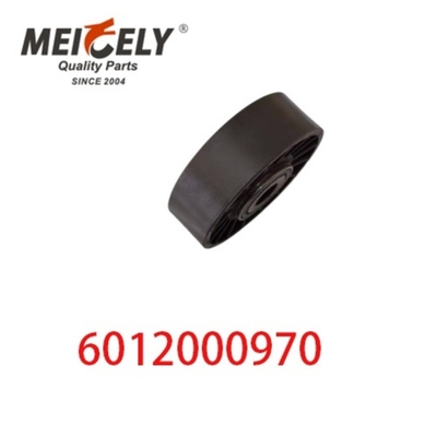6012000970 9146139 Peças para motores de automóveis